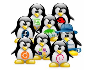 linux-distors