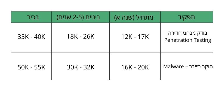 תמונת דוגמאות לשכר בסייבר