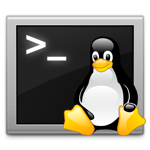 Bash Scripting